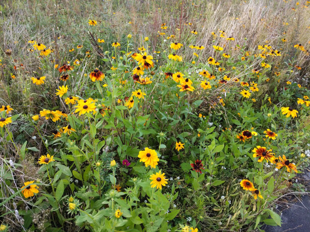 Bild "In ganz Kiel:photo_2025-01-23_09-50-23.jpg"
